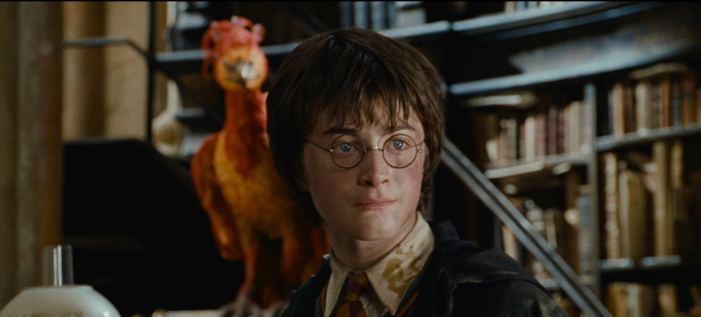 Harry Potter and the Chamber of Secrets Complete Guide
