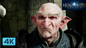 Hogwarts Legacy the video game