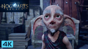 Hogwarts Legacy the video game