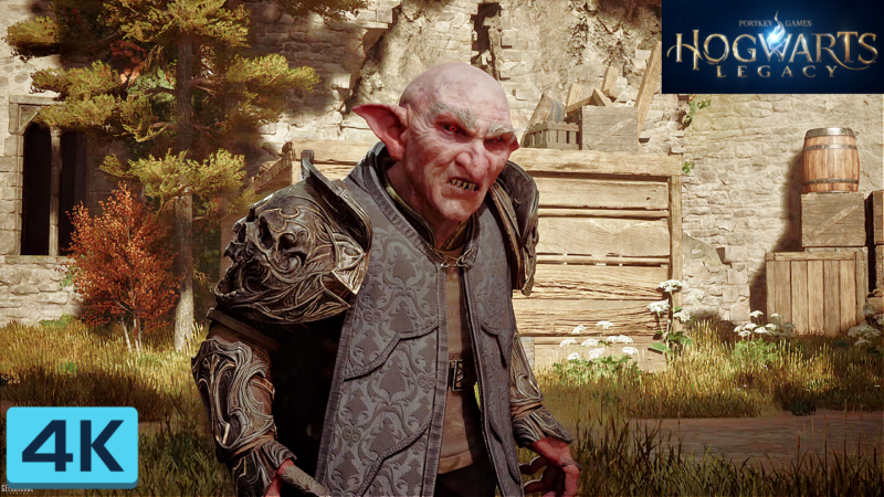 hogwarts part 5 YouTube Thumbnail