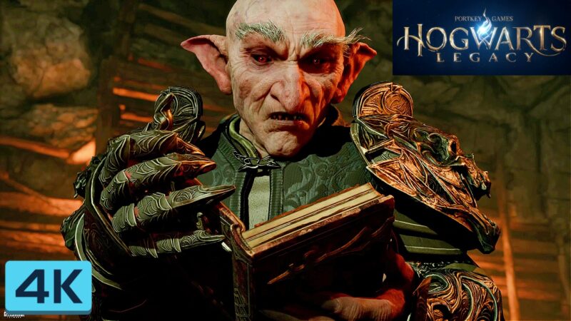 hogwarts legacy part 8 first