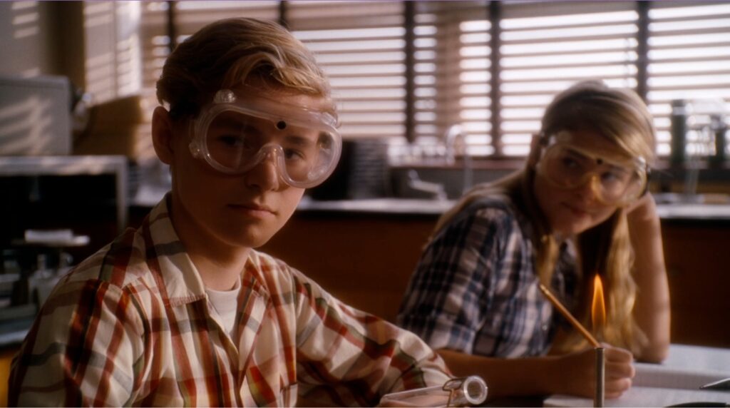 Romance movies to watch Flipped (2010)